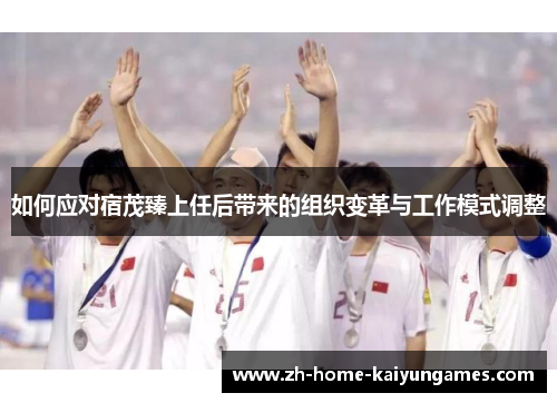 如何应对宿茂臻上任后带来的组织变革与工作模式调整
