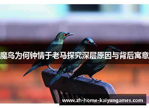 魔鸟为何钟情于老马探究深层原因与背后寓意