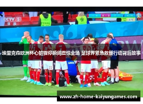 埃里克森欧洲杯心脏骤停瞬间震惊全场 足球界紧急救援行动背后故事