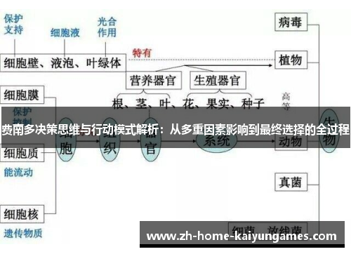 费南多决策思维与行动模式解析：从多重因素影响到最终选择的全过程