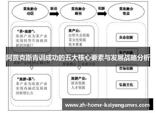 阿贾克斯青训成功的五大核心要素与发展战略分析 阿贾克斯青训成功的五大核心要素与发展战略分析